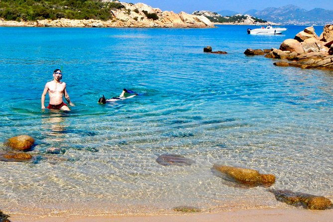 boat-dolphins-safari-and-snorkeling