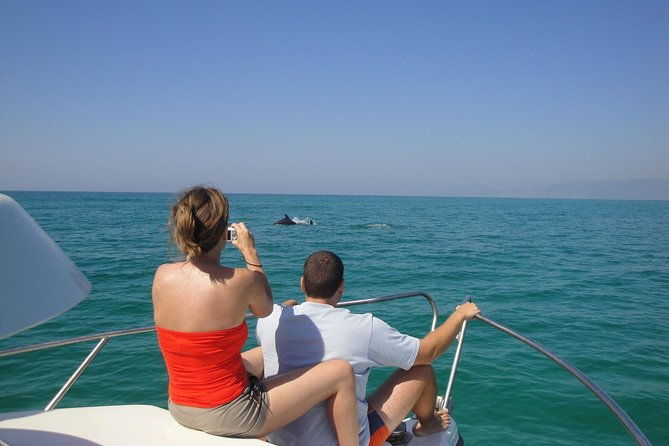 boat-trip-for-dolphin-watching-along-the-arrabida-coast-and-sesimbra-2