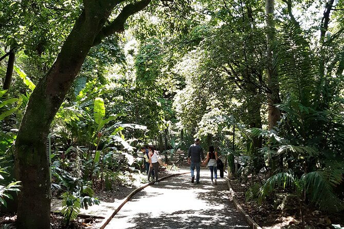 botanical-garden-and-arvi-park-medellin-city-tour