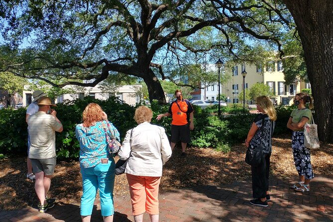 botanical-tour-by-walk-with-me-savannah-tours