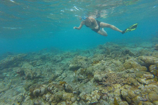 buccoo-reef-and-nylon-pool-adventure
