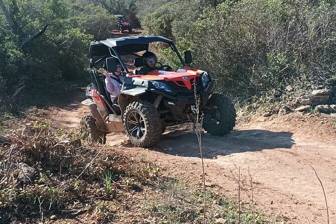 buggy-quest-1-hour-off-road-guided-tour-from-albufeira