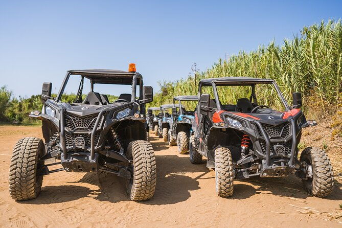 buggy-safari-with-wine-tasting-2