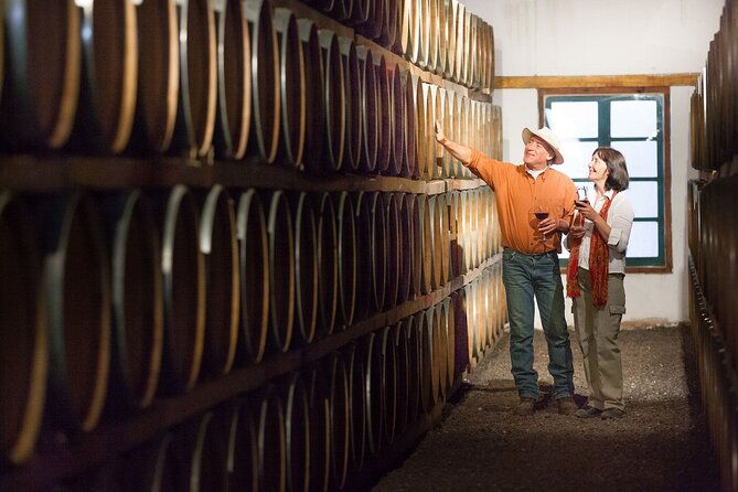 cafayate-wine-trail-excursion-explore-saltas-vineyards