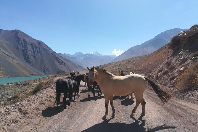 cajon-del-maipo-including-wine-with-picnic-and-empanada