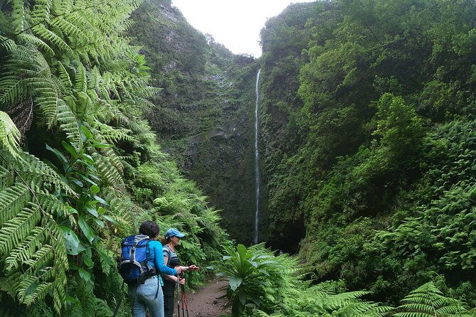 caldeirao-verde-levada-pr-9-guided-madeira-levada-walk