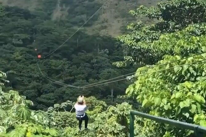 canopy-or-zipline-by-punta-cana-minimum-4-pax