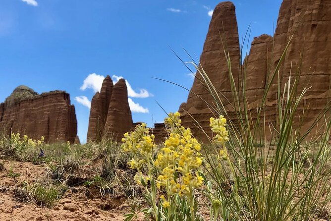 capitol-reef-private-tour-in-cathedral-valley-and-bentonite-hills