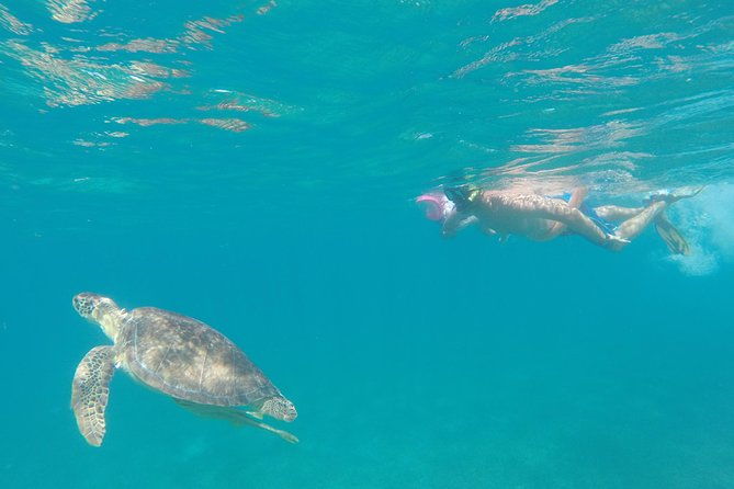 captain-bob-speed-boat-snorkeling-beach-tour-lunch-st-maarten