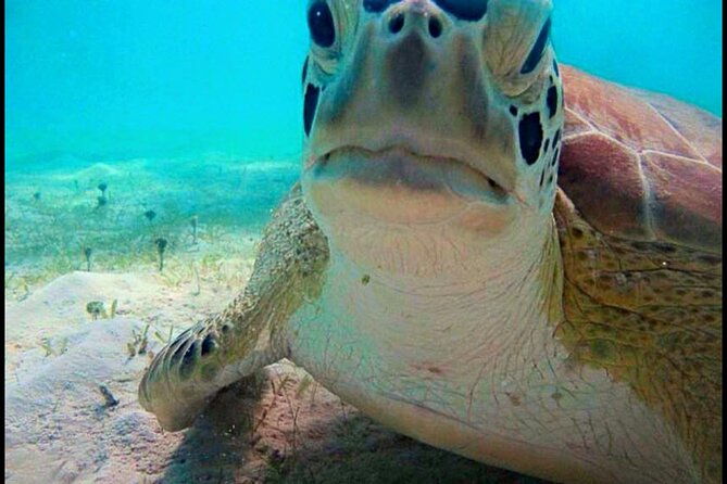 cas-cay-kayak-hike-and-snorkel-adventure