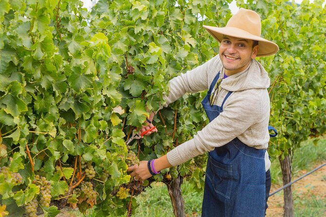 casablanca-wine-valley-lgbt