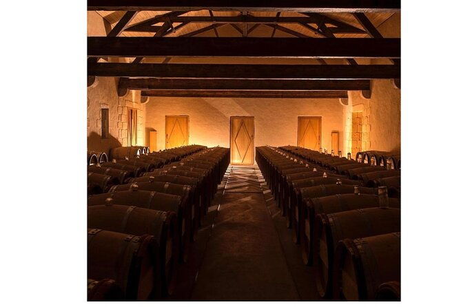 castel-wine-tour-in-bordeaux-margaux