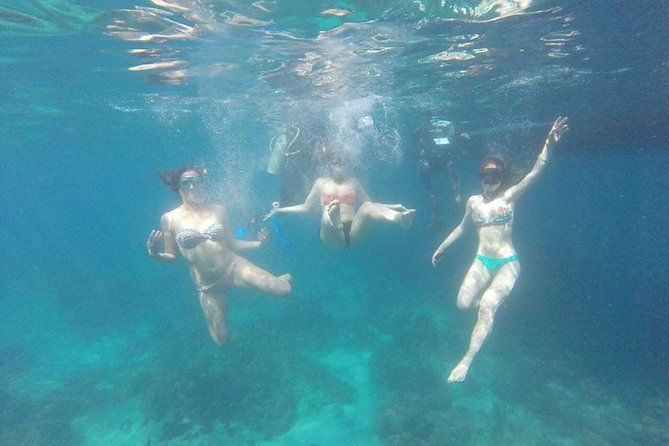 catalina-island-with-snorkel