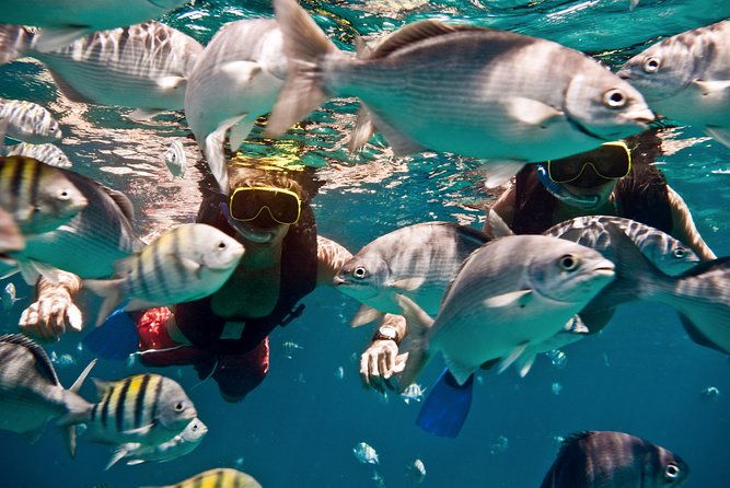 catamaran-and-snorkeling-cruise-at-carlisle-bay