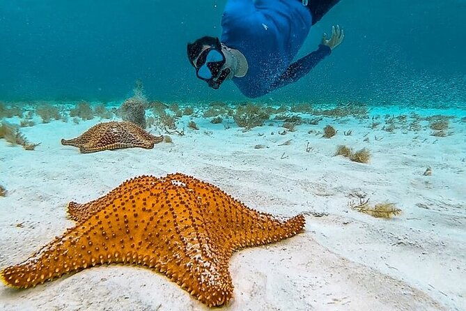cayman-combo-tour-stingrays-starfish-point-and-crystal-caves