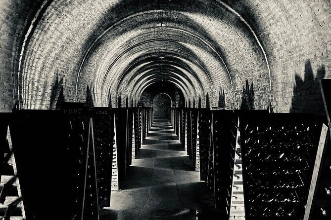champagne-cellars-vineyards-tour-from-reims-full-day