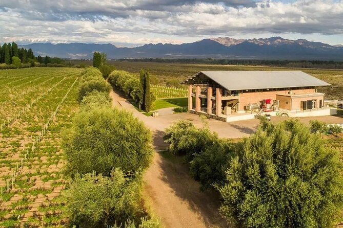 chandon-private-tour-and-chimera-bistro-lunch-michelin-guide