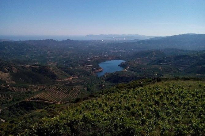 chania-shore-excursion-off-road-vineyard-and-winery-tour-half-day-2