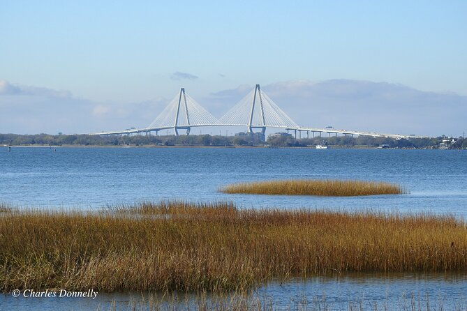 charleston-bird-watching-tour
