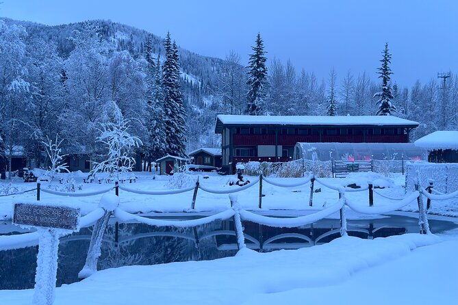 chena-hot-spring-day-tour