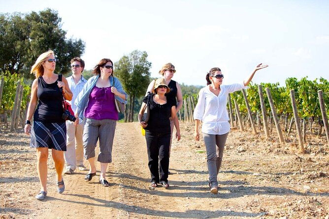 chianti-and-supertuscan-private-tour-with-lunch-from-livorno