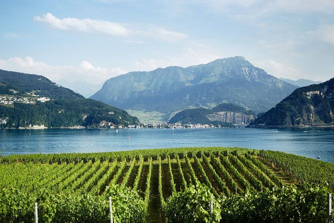 chocolate-cheese-and-wine-tour-in-luzern-region