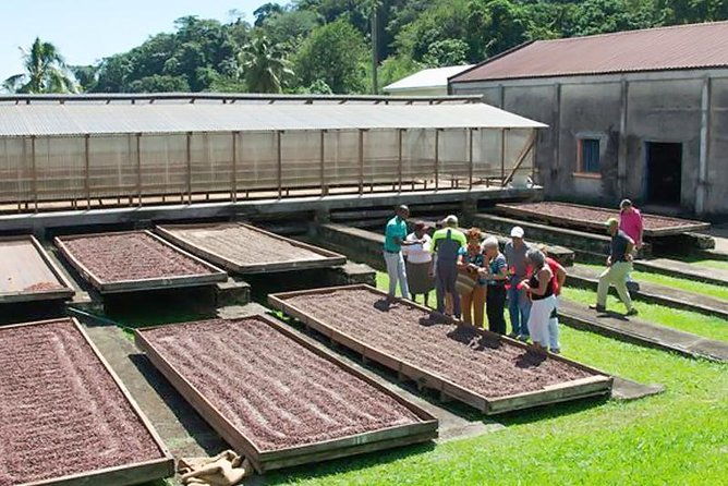 chocolate-factory-belmont-estate-annandale-falls-grand-etang-lake-tour