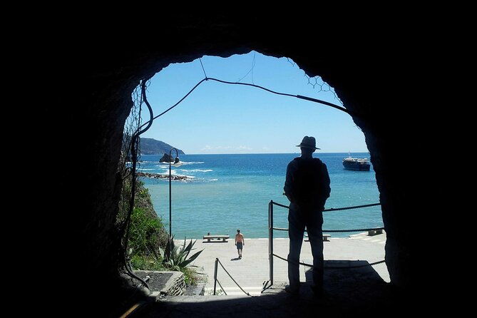 cinque-terre-private-tour-by-minivan-and-ferry-boat-from-pisa