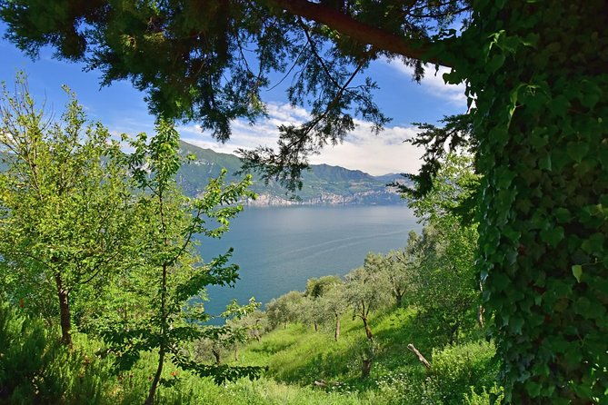 city-escape-lake-garda-private-day-trip-from-verona
