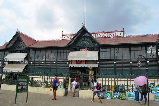 city-tour-in-manaus-at-the-amazonas-theatre-and-matriz-square