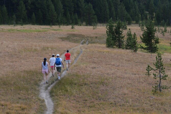 classic-yellowstone-hike-to-the-shores-of-lake-shoshone-private-up-to-8-people