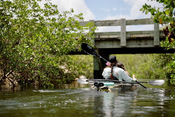 clear-kayak-ecotour-at-robinson-preserve-in-bradenton-florida