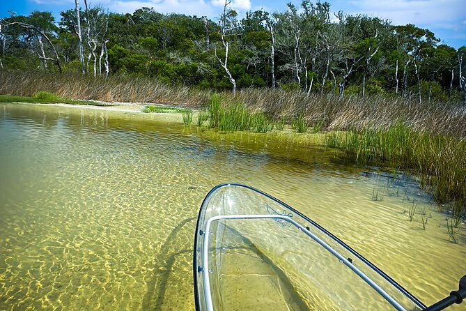 clear-kayak-ecotour-destin-ft-walton-beach-2