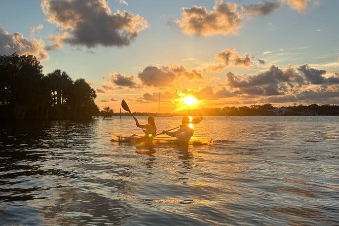 clear-kayak-manatee-viewing-sunset-and-glow-tour-of-crystal-river