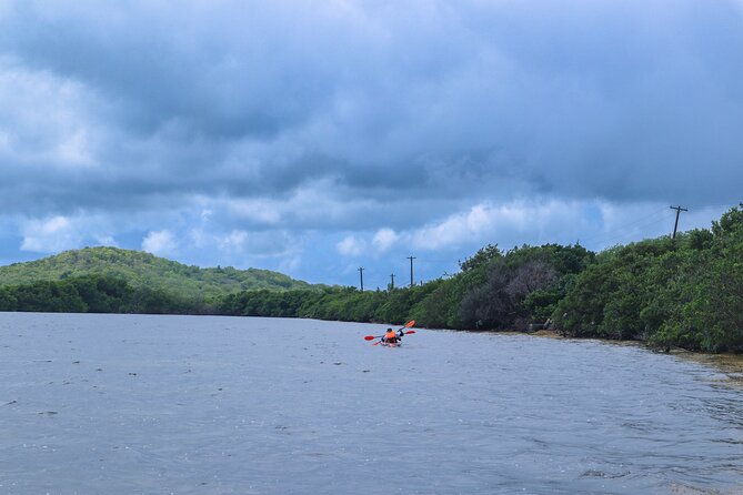 clear-kayak-tour-in-mangrove-antigua