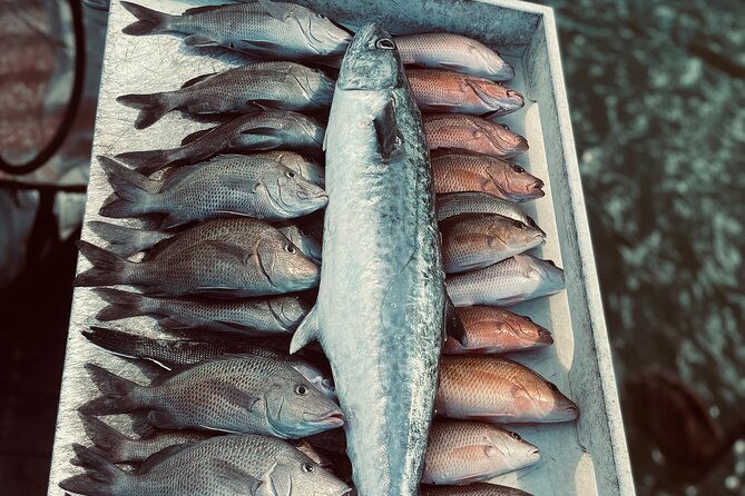 clearwater-beach-fishing-charter-half-day-of-fishing-fun-on-the-water