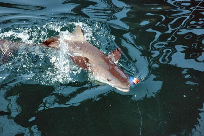 clearwater-inshore-fishing-charter