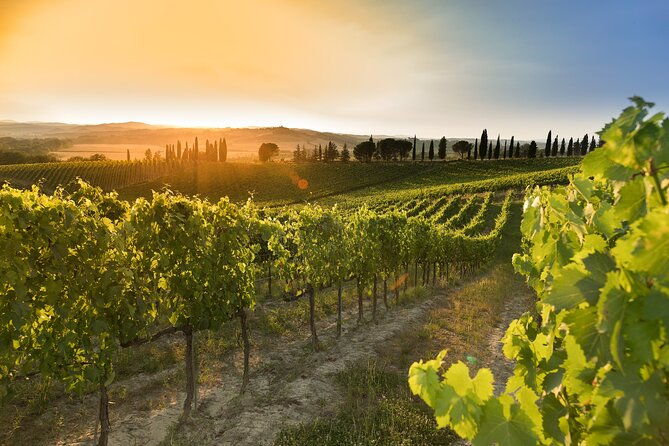 club-brunello-private-tasting-with-lunch-in-a-castle-winery