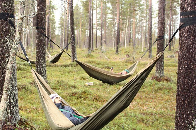 cocooning-in-the-halipuu-forest-the-ultimate-arctic-hammock-relaxation-2