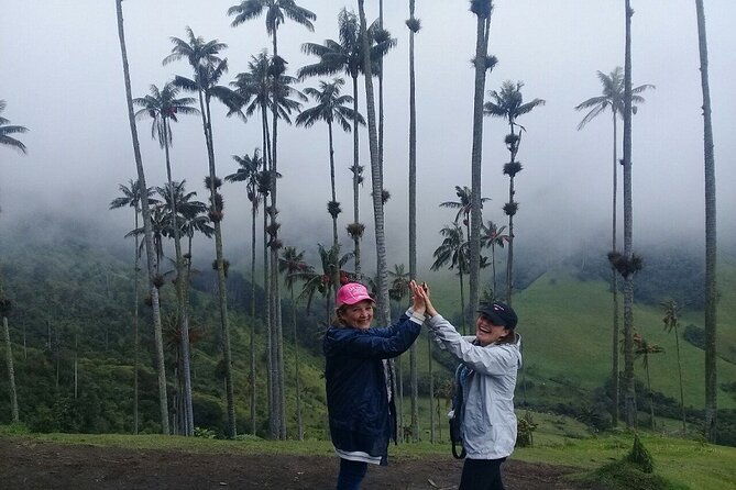 cocora-valley-salento-and-filandia-full-day-private-tour