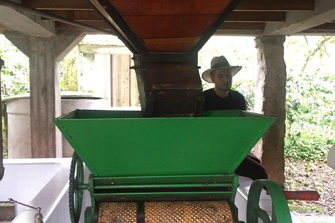 coffee-farm-experience-private-day-tour