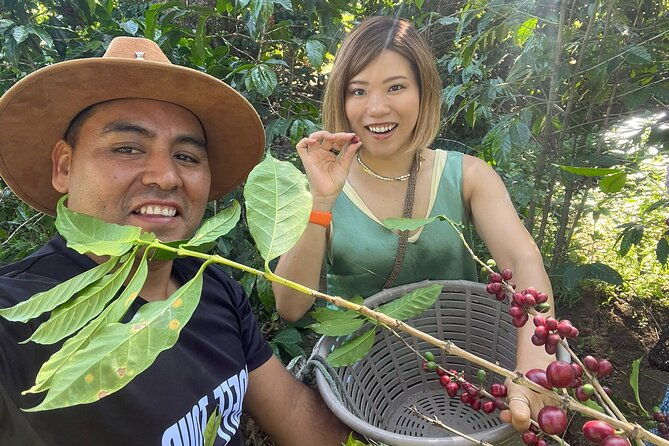 coffee-tour-near-the-agua-volcano-with-tasting
