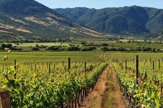 colchagua-valley-winery-day-trip-from-santiago