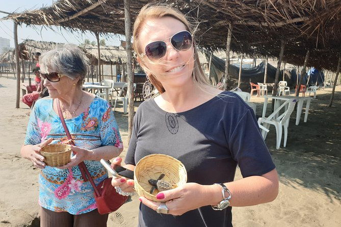 combo-6-hr-tour-all-city-highlights-divers-baby-turtle-release