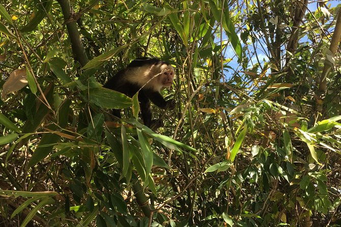 costa-rican-wildlife-palo-verde-national-park-private-tour