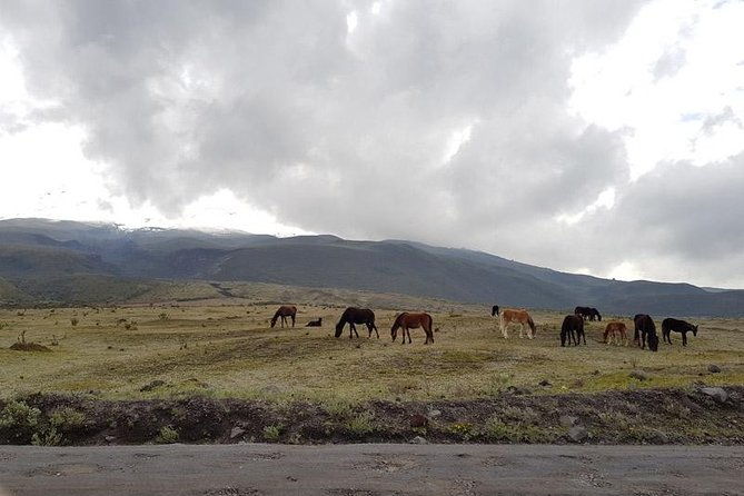 cotopaxi-bike-tour-from-quito