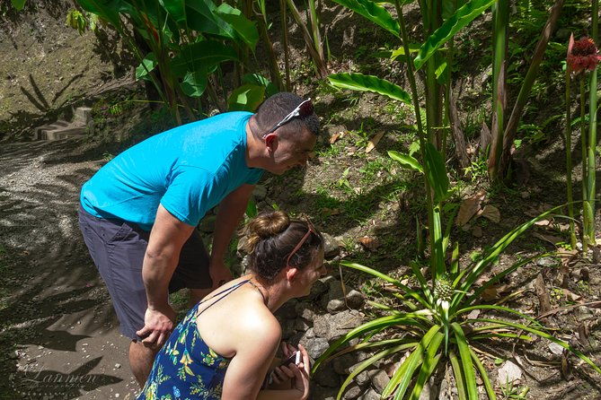 couples-private-st-lucia-highlights-tour