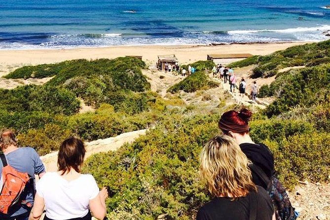 cruise-and-4x4-safari-tour-at-akamas-peninsula-from-paphos