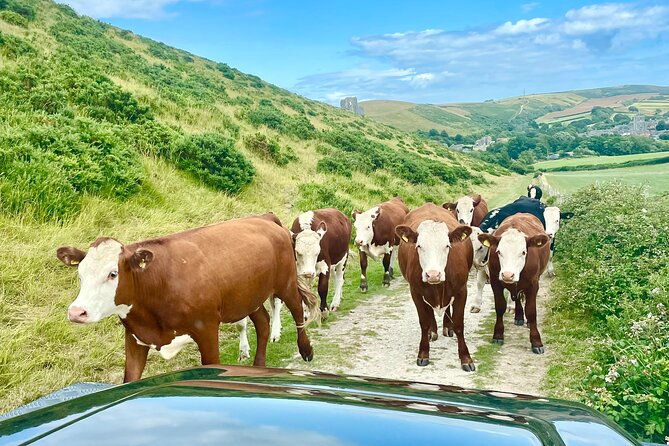 cruise-ship-special-jeep-safari-private-guided-tour-8-hours-3
