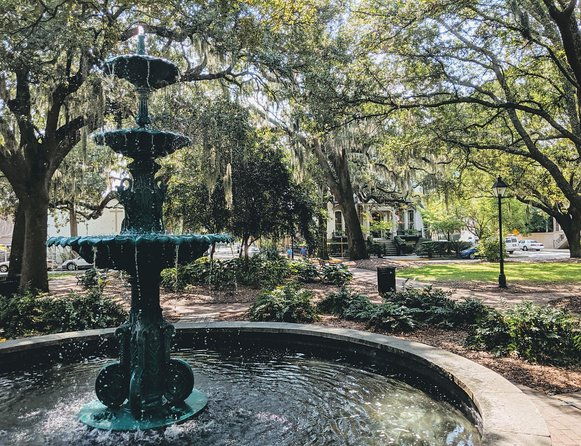 custom-savannah-private-tour